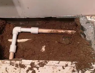 绥芬河测漏水哪家好