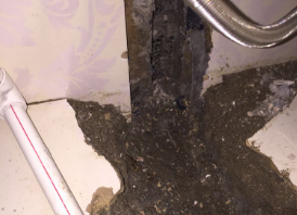 绥芬河卫生间测漏水哪家好