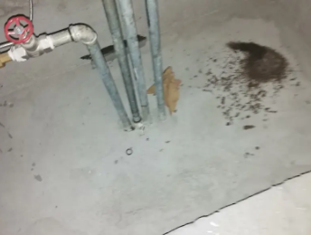 绥芬河卫生间测漏水价格明细