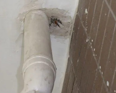 绥芬河漏水检测哪家好